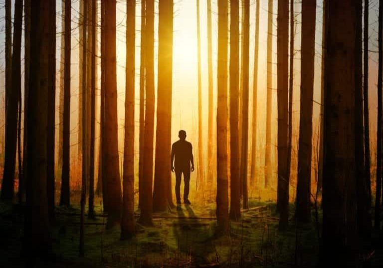 man in woods trees silhouette shadow pexels-photo-1114897